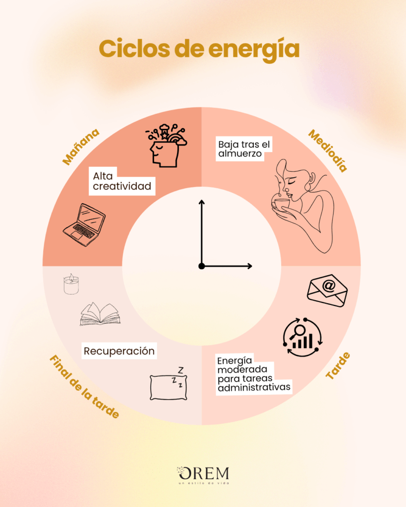 ciclos de energía en una persona